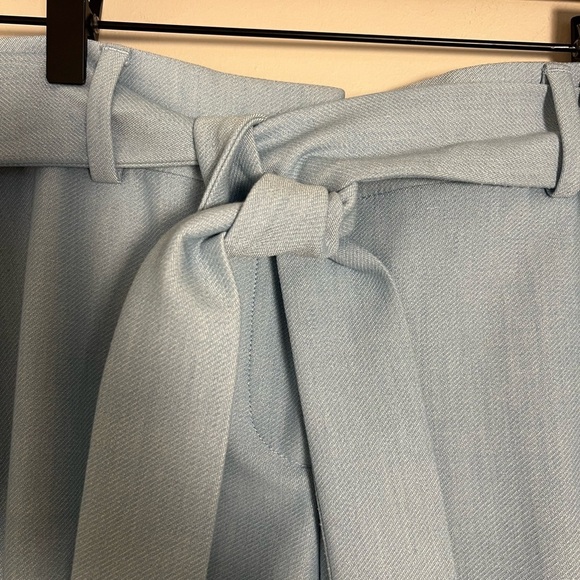 LOFT NWOT Light Blue Marisa Fit Tie Belt Career Office Wardrobe Staple Size 8P - Picture 6 of 14